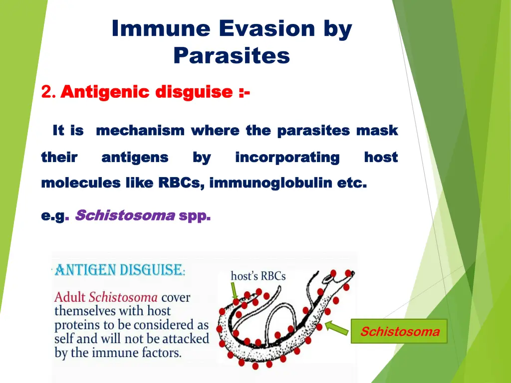immune evasion by parasites 2 2 antigenic