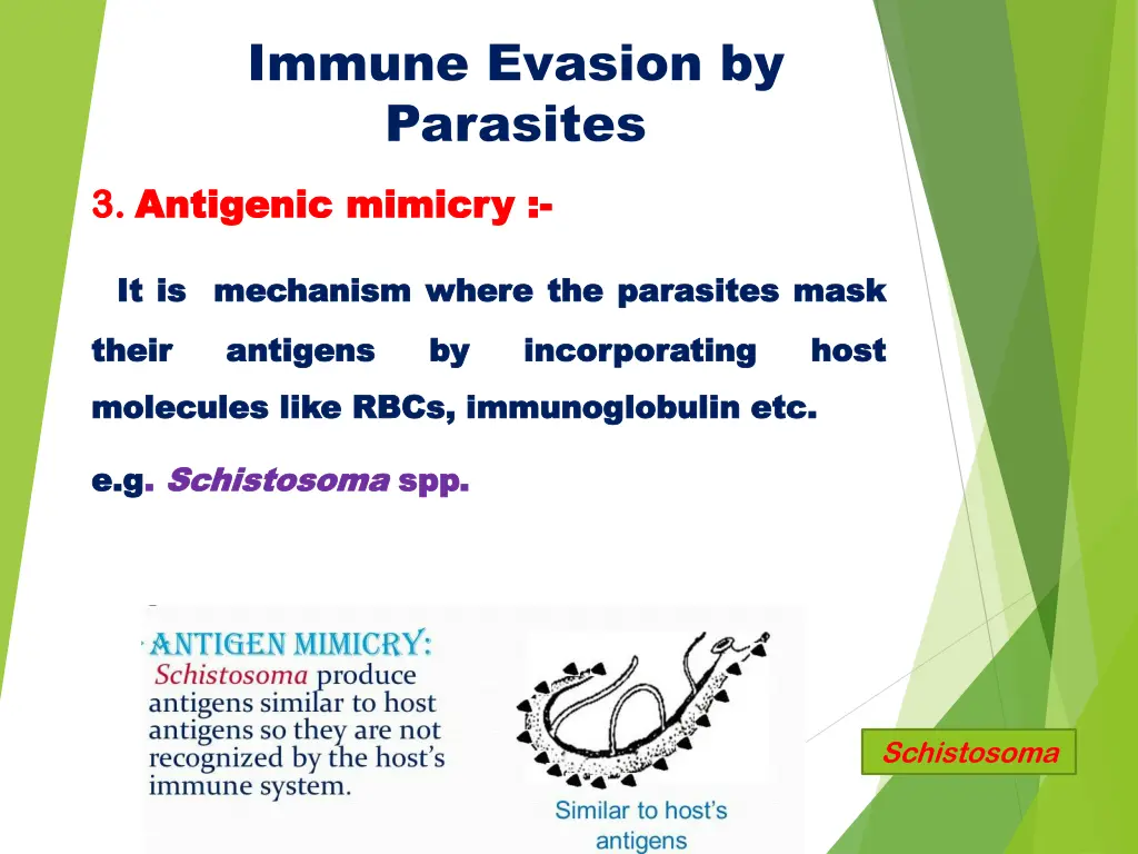 immune evasion by parasites 3 3 antigenic