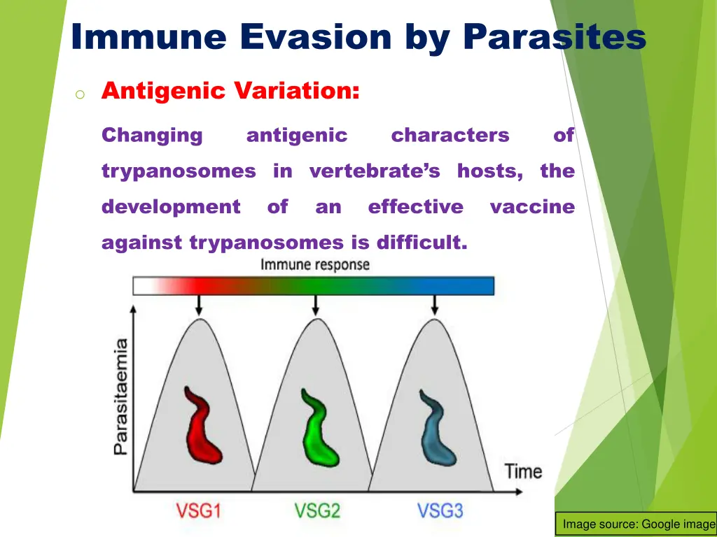 immune evasion by parasites 3