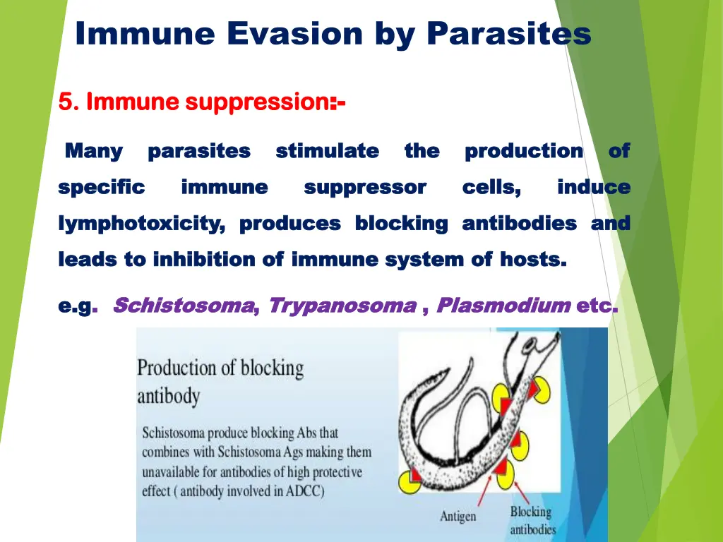 immune evasion by parasites 6