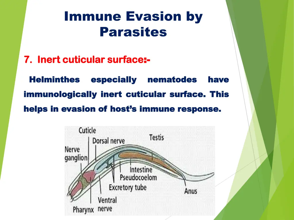 immune evasion by parasites 8