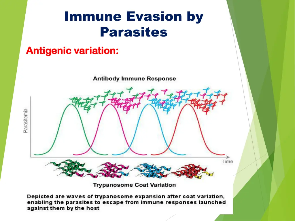 immune evasion by parasites antigenic antigenic