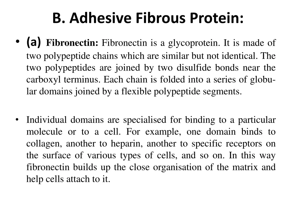 b adhesive fibrous protein