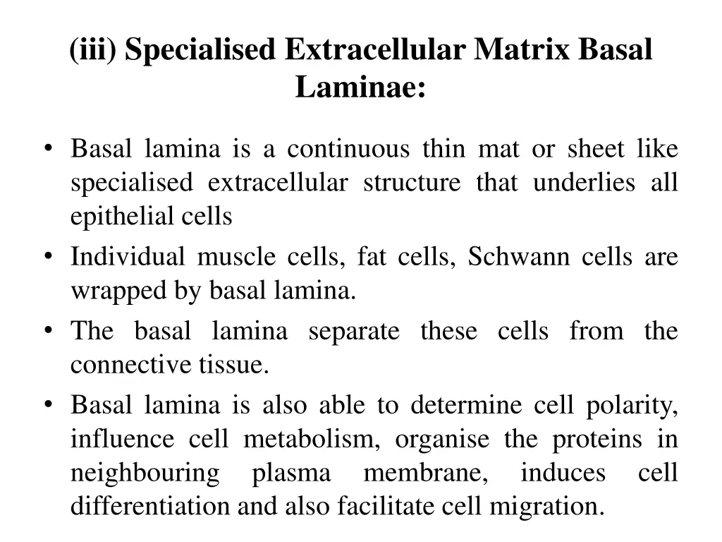 iii specialised extracellular matrix basal laminae