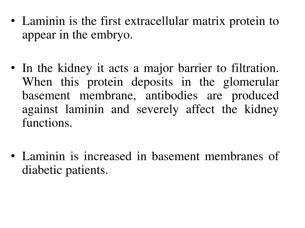 laminin is the first extracellular matrix protein