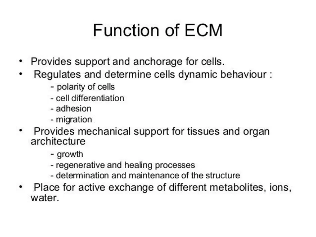 slide13