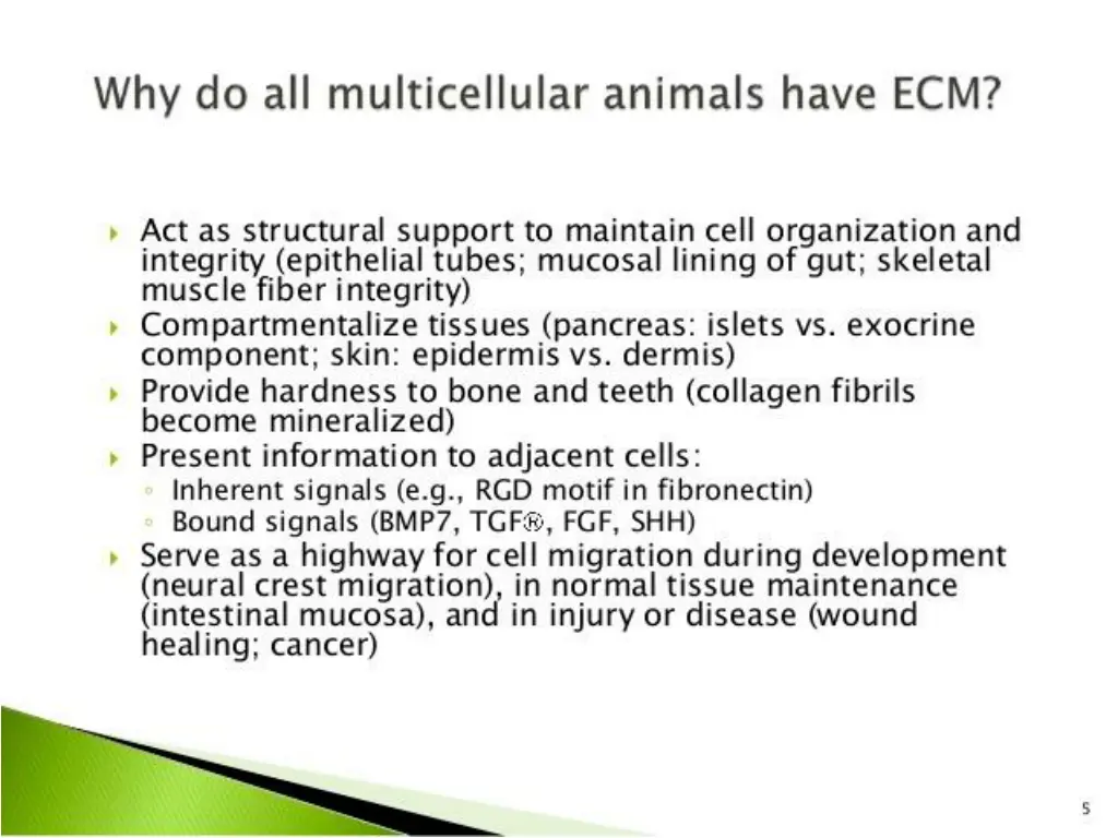 slide14