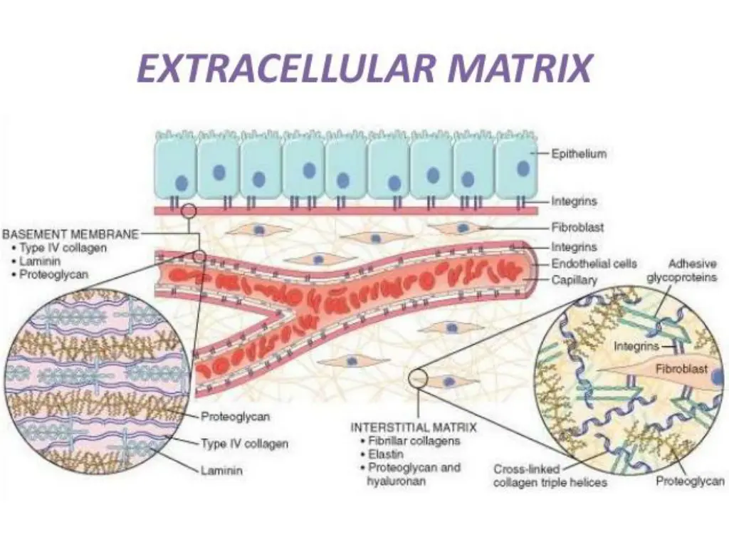 slide15