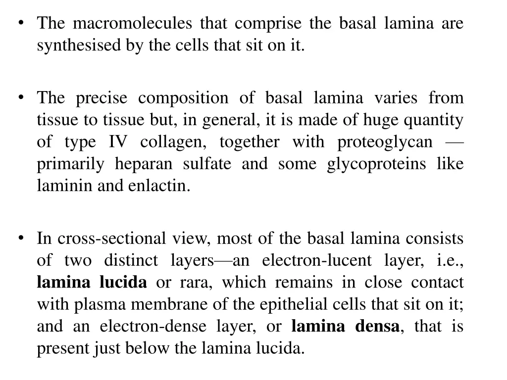 the macromolecules that comprise the basal lamina
