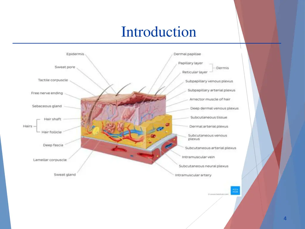 introduction 1