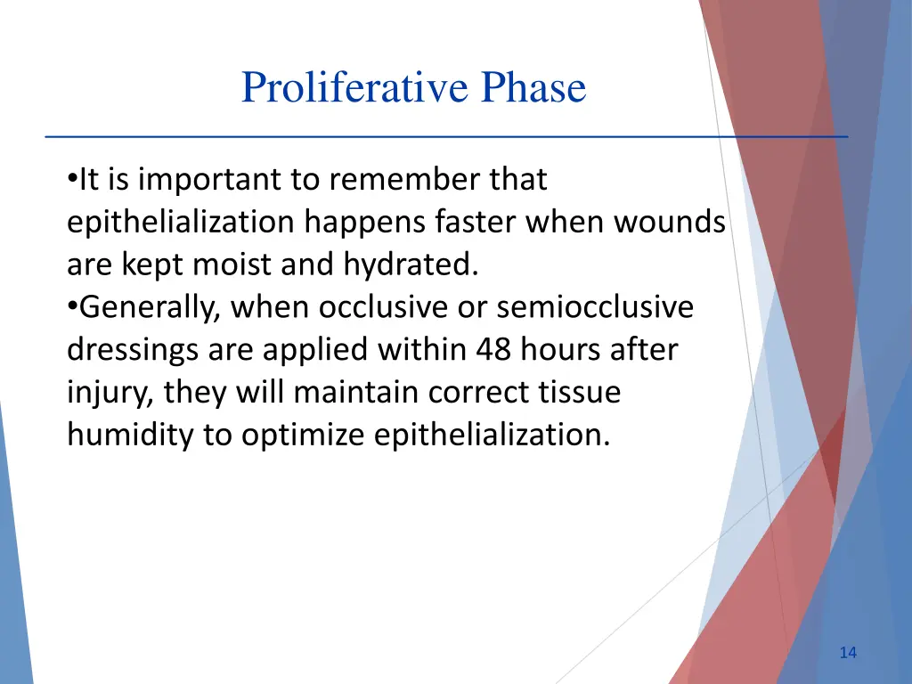 proliferative phase 1
