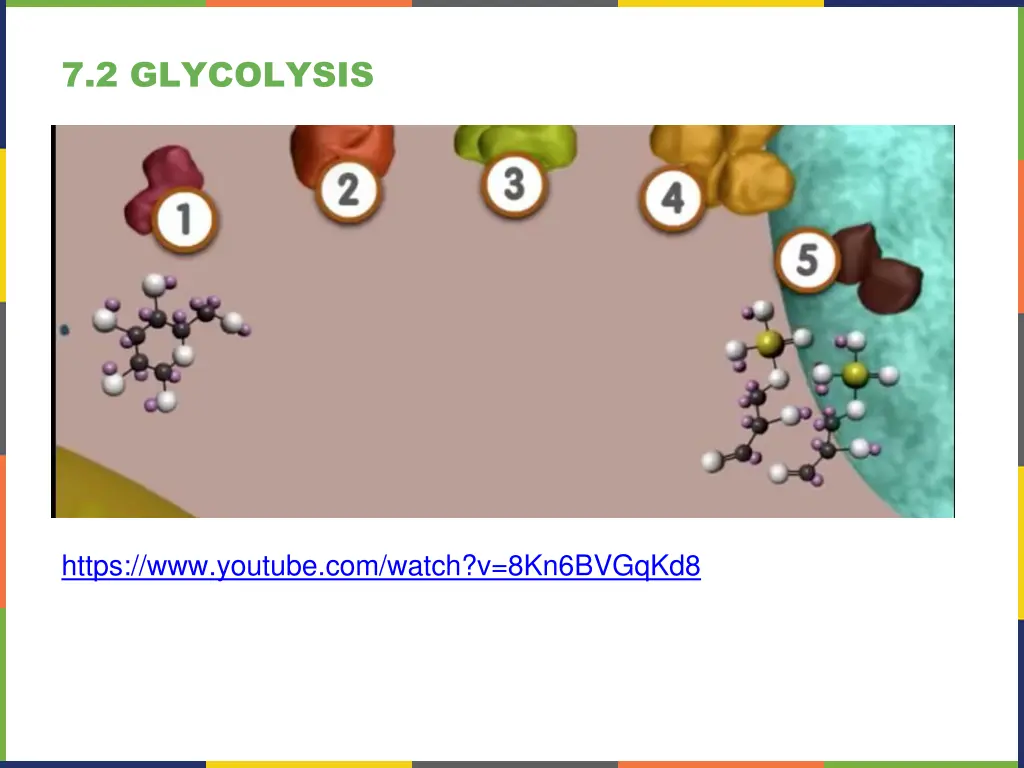 7 2 glycolysis 1