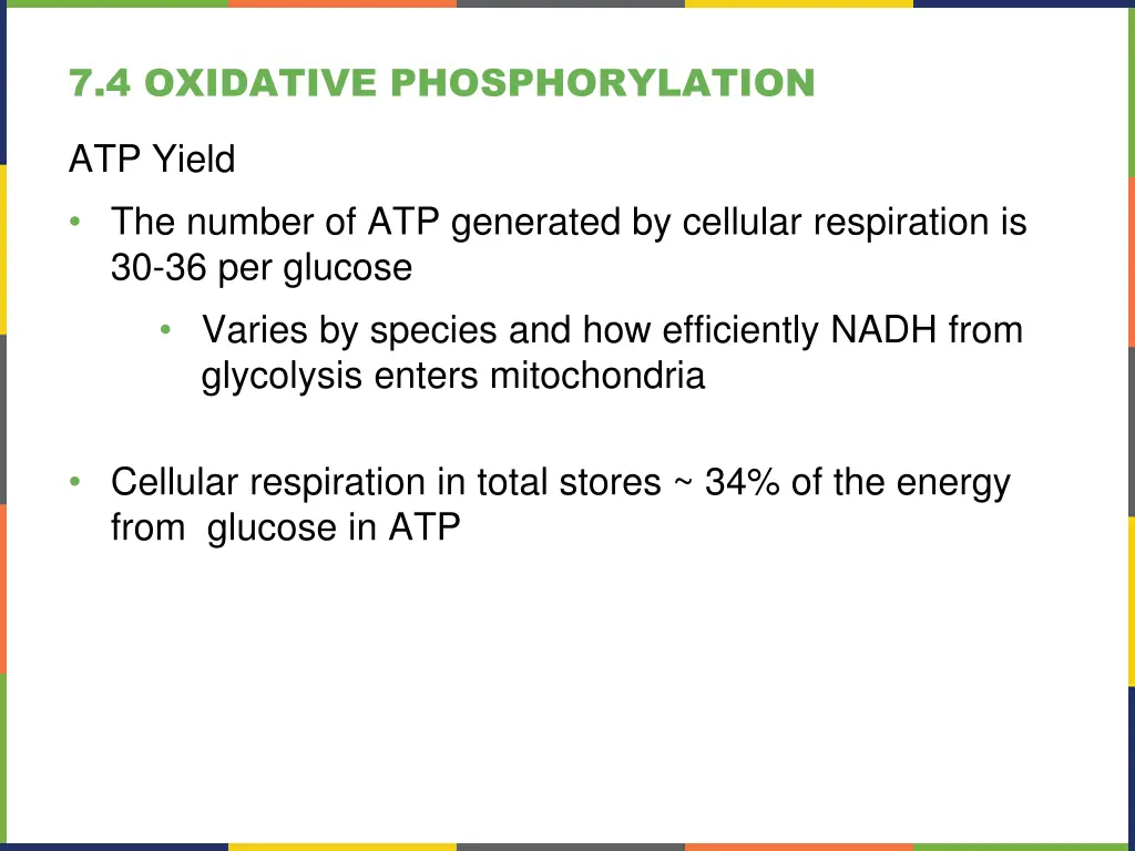 7 4 oxidative phosphorylation 3