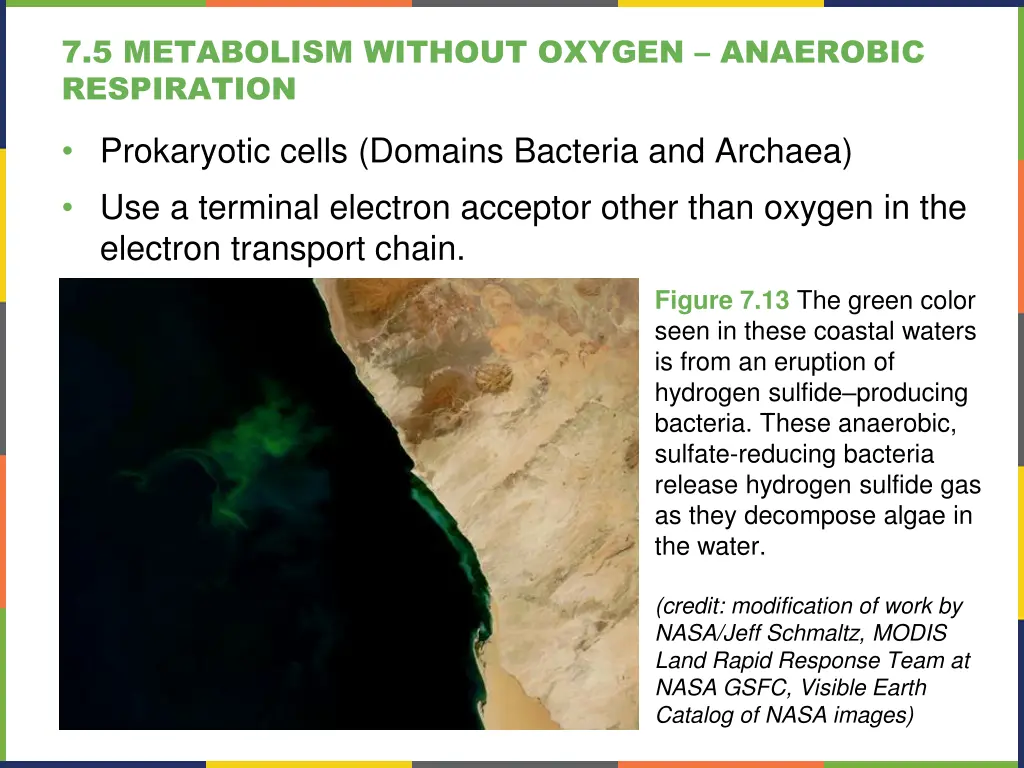 7 5 metabolism without oxygen anaerobic