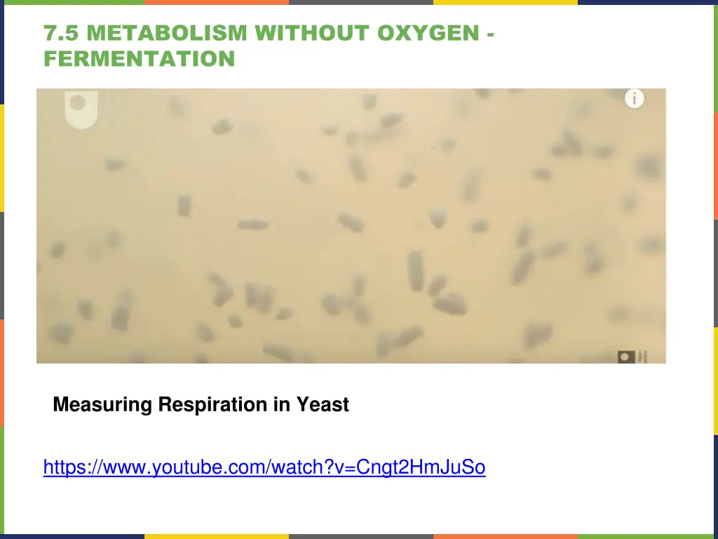 7 5 metabolism without oxygen fermentation 4