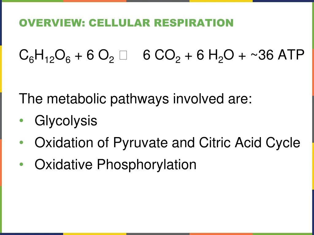 overview cellular respiration 1