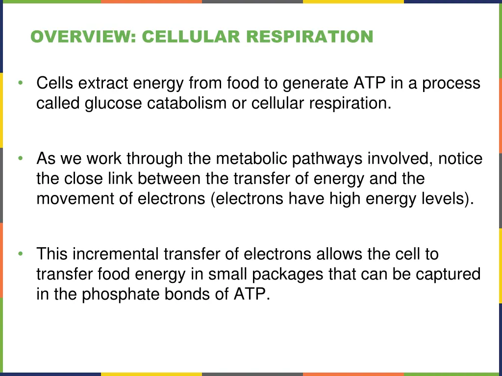 overview cellular respiration