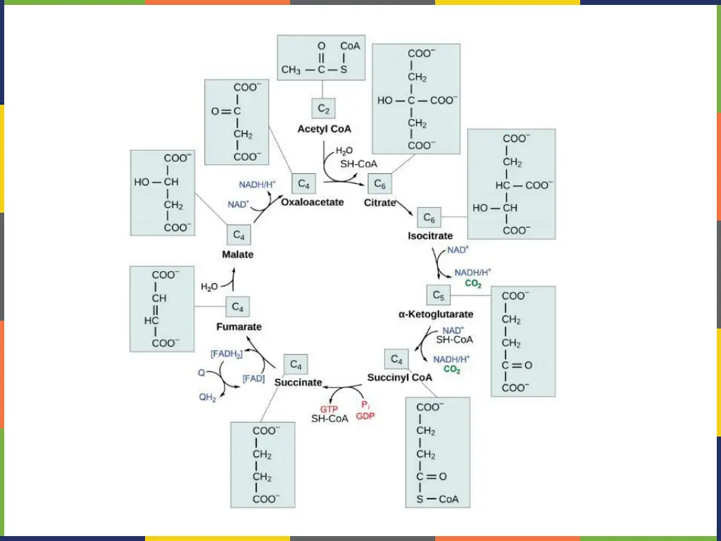 slide23