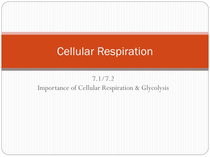 cellular respiration