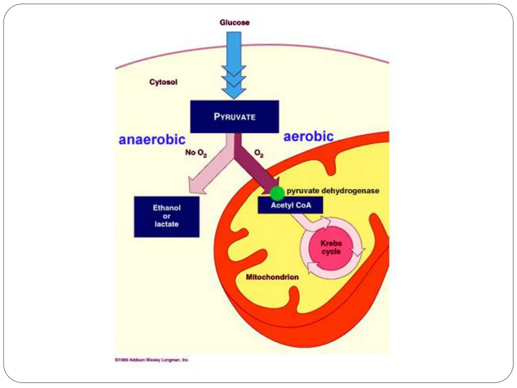 slide9