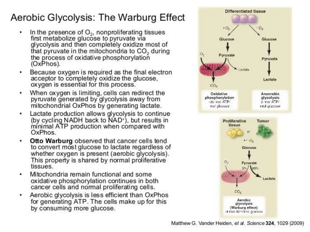 slide2