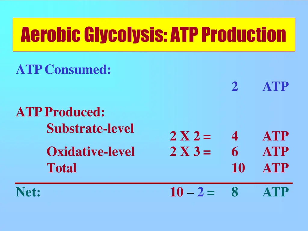 aerobic glycolysis atpproduction