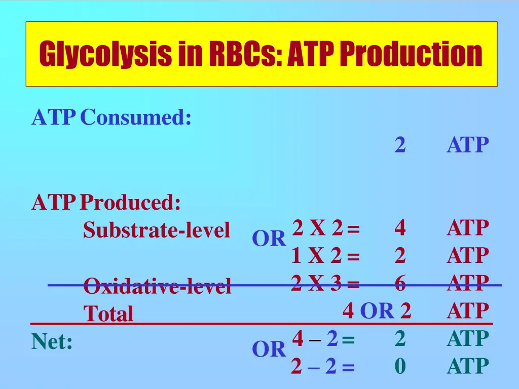 glycolysis in rbcs atpproduction