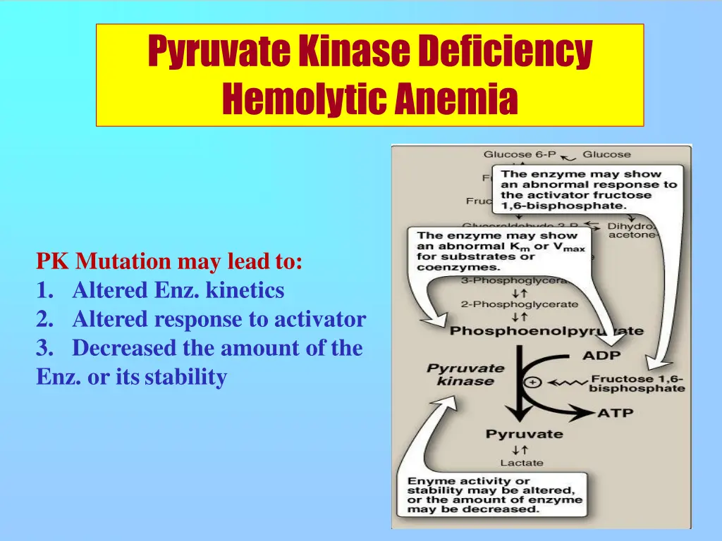 pyruvate kinasedeficiency hemolyticanemia