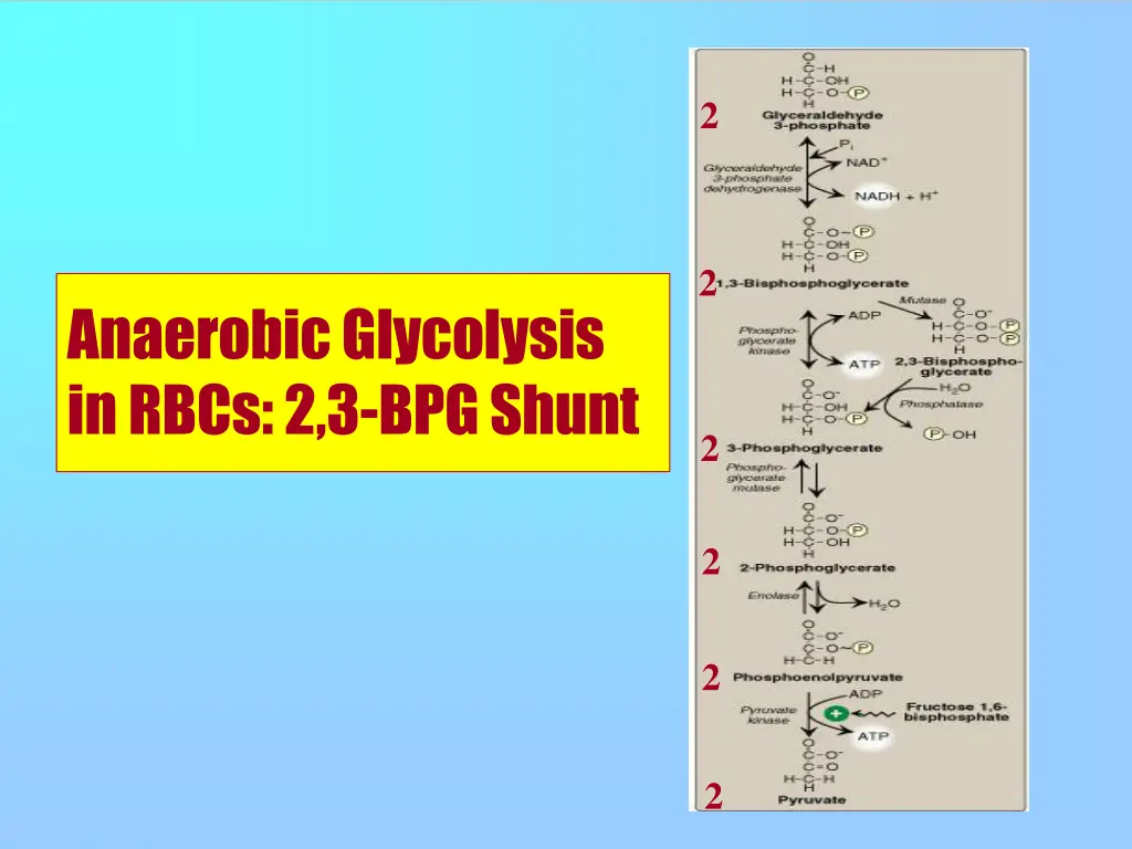 slide14