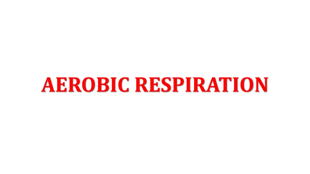 aerobic respiration