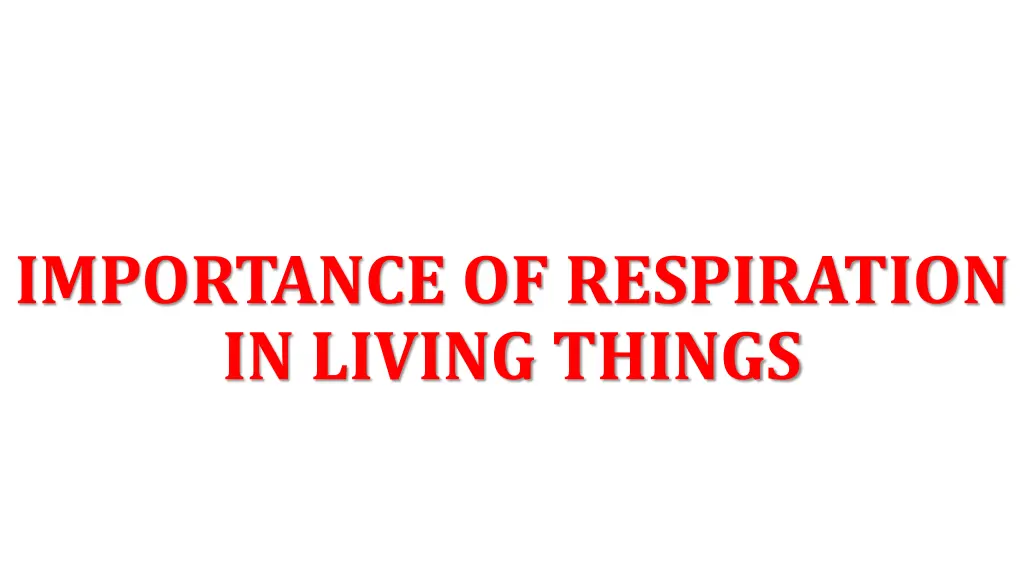 importance of respiration in living things
