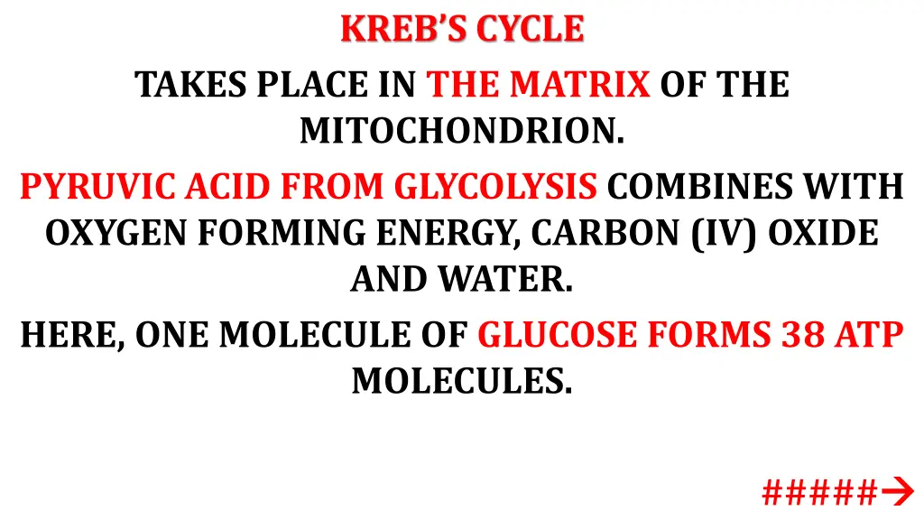 kreb s cycle