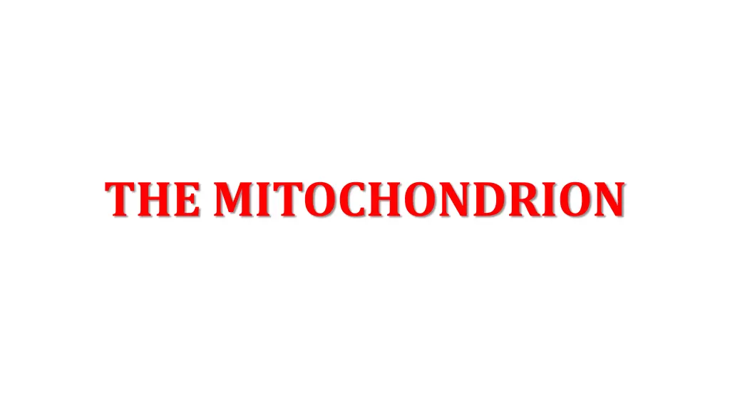 the mitochondrion