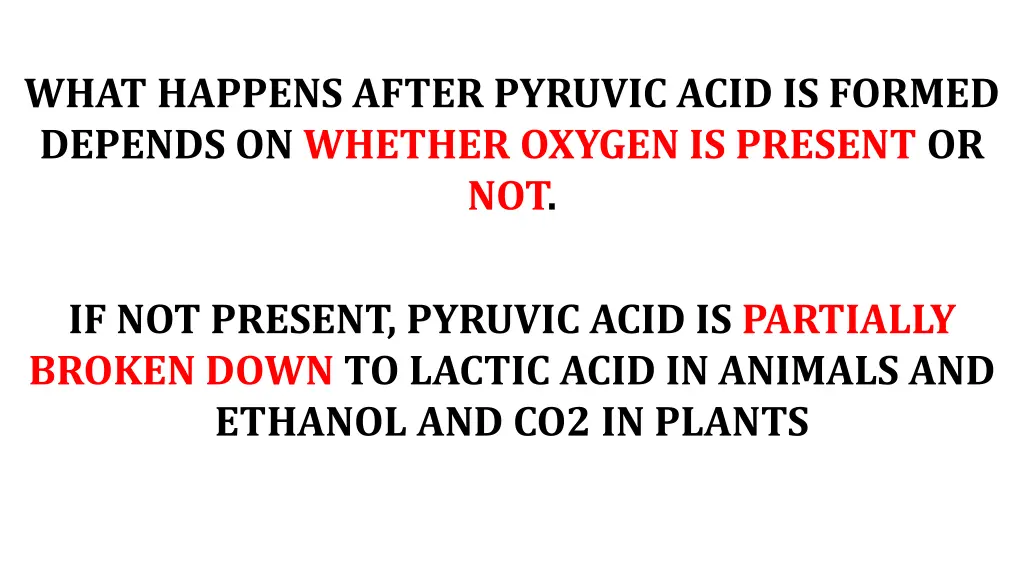 what happens after pyruvic acid is formed depends