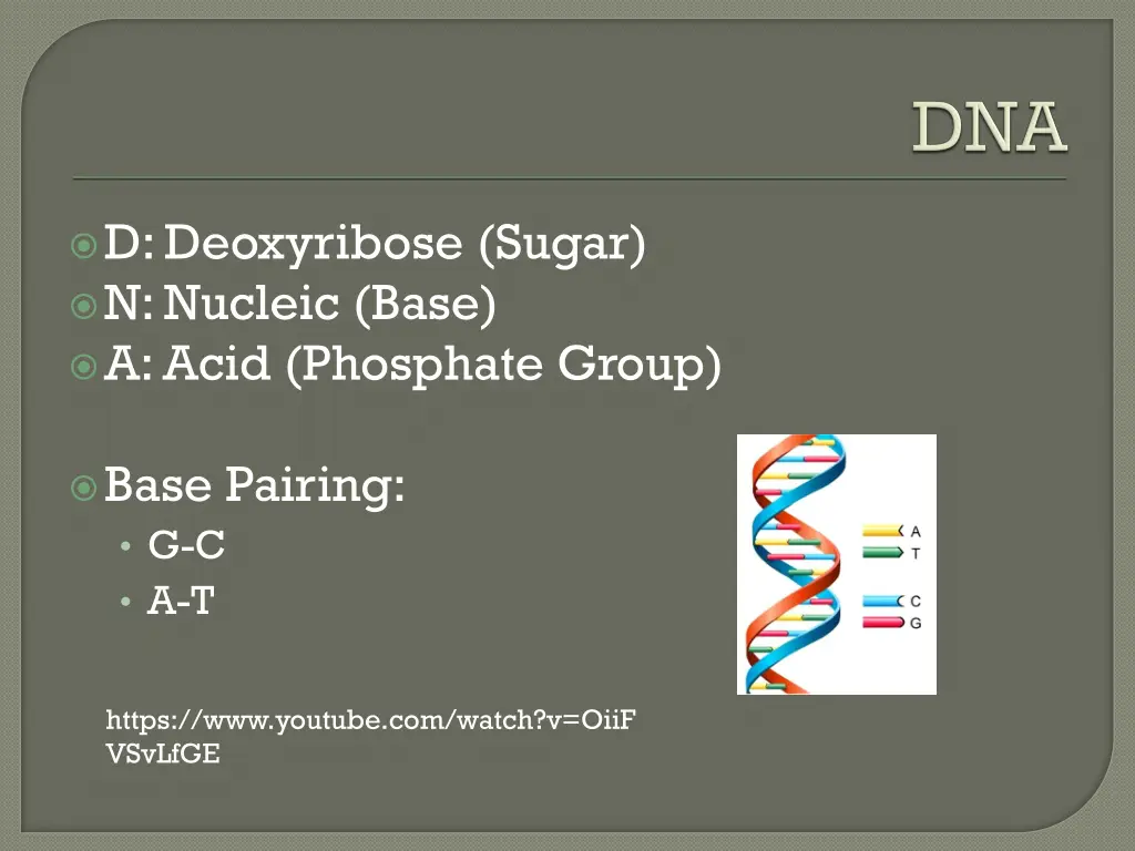 d deoxyribose sugar n nucleic base a acid