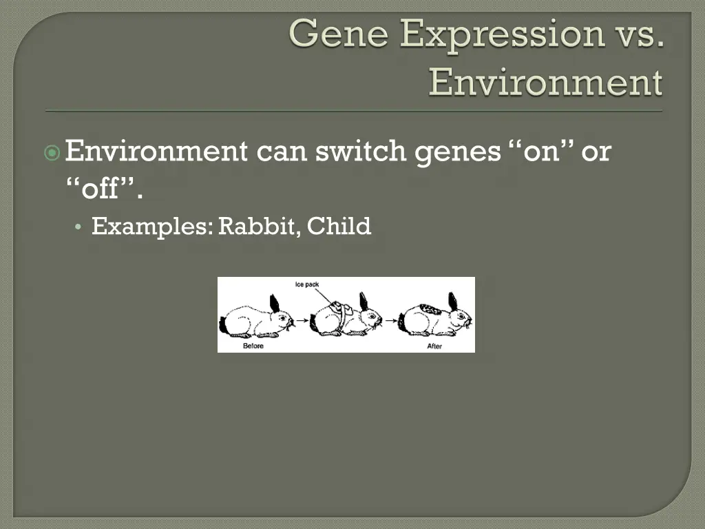 environment can switch genes on or off examples