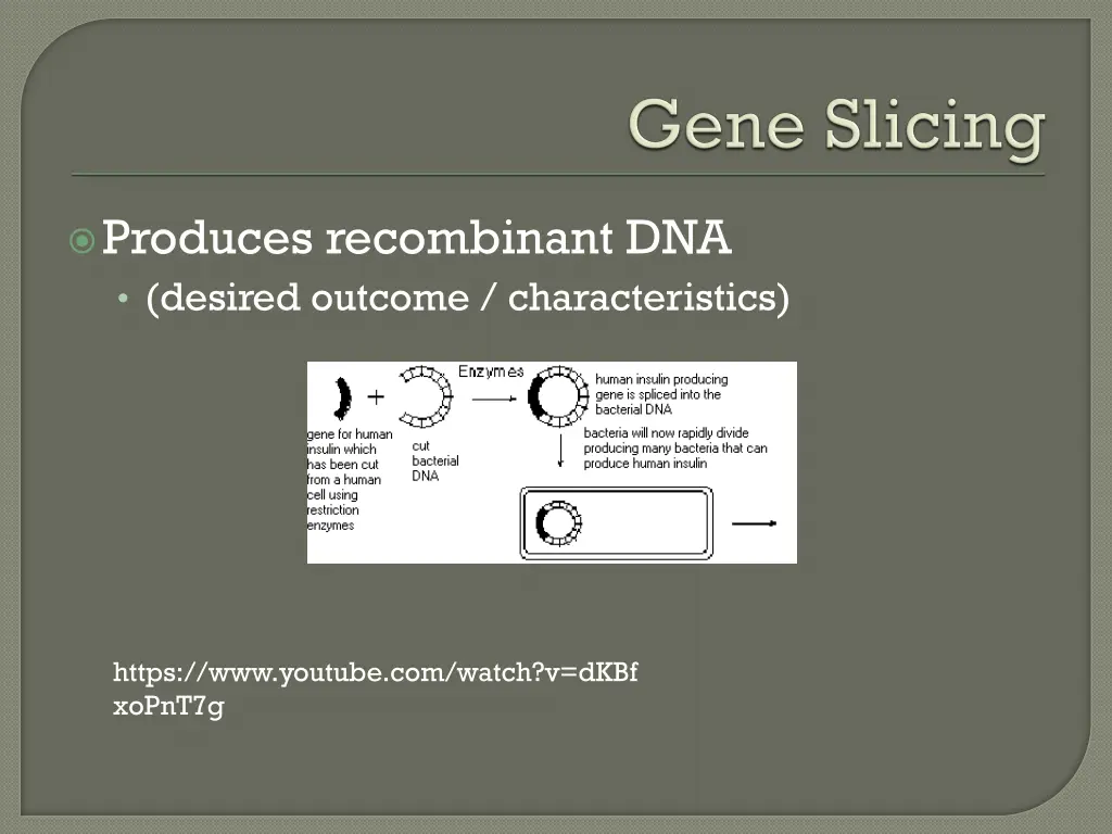 produces recombinant dna desired outcome