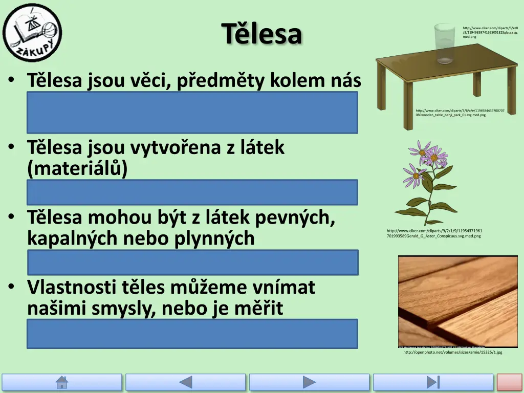 t lesa