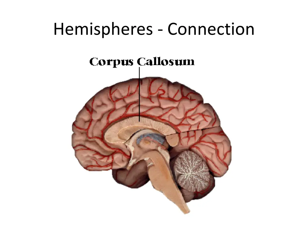 hemispheres connection