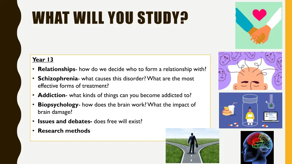 what will you study 1