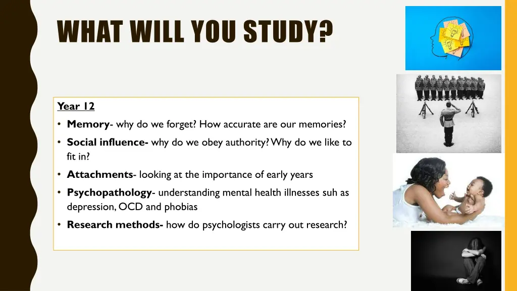 what will you study