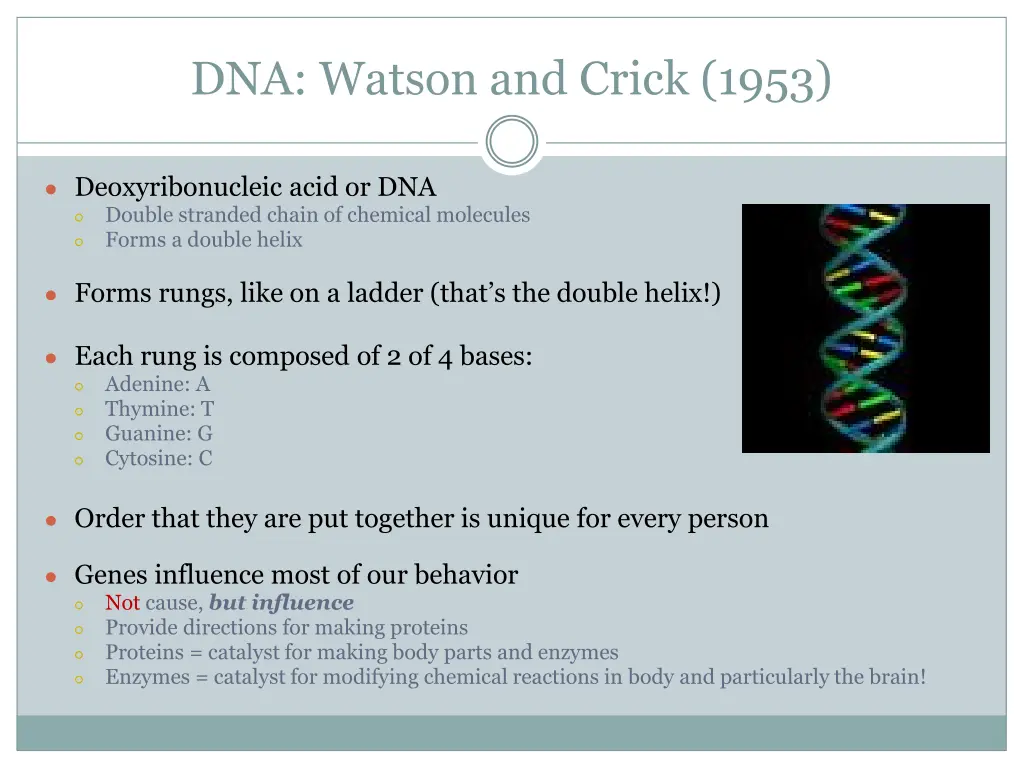 dna watson and crick 1953