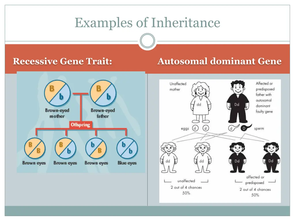 examples of inheritance