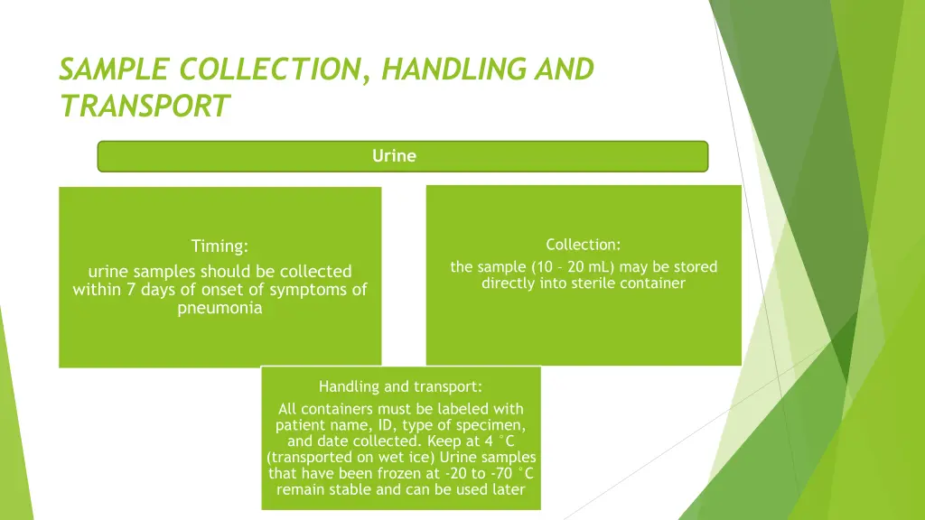 sample collection handling and transport 2