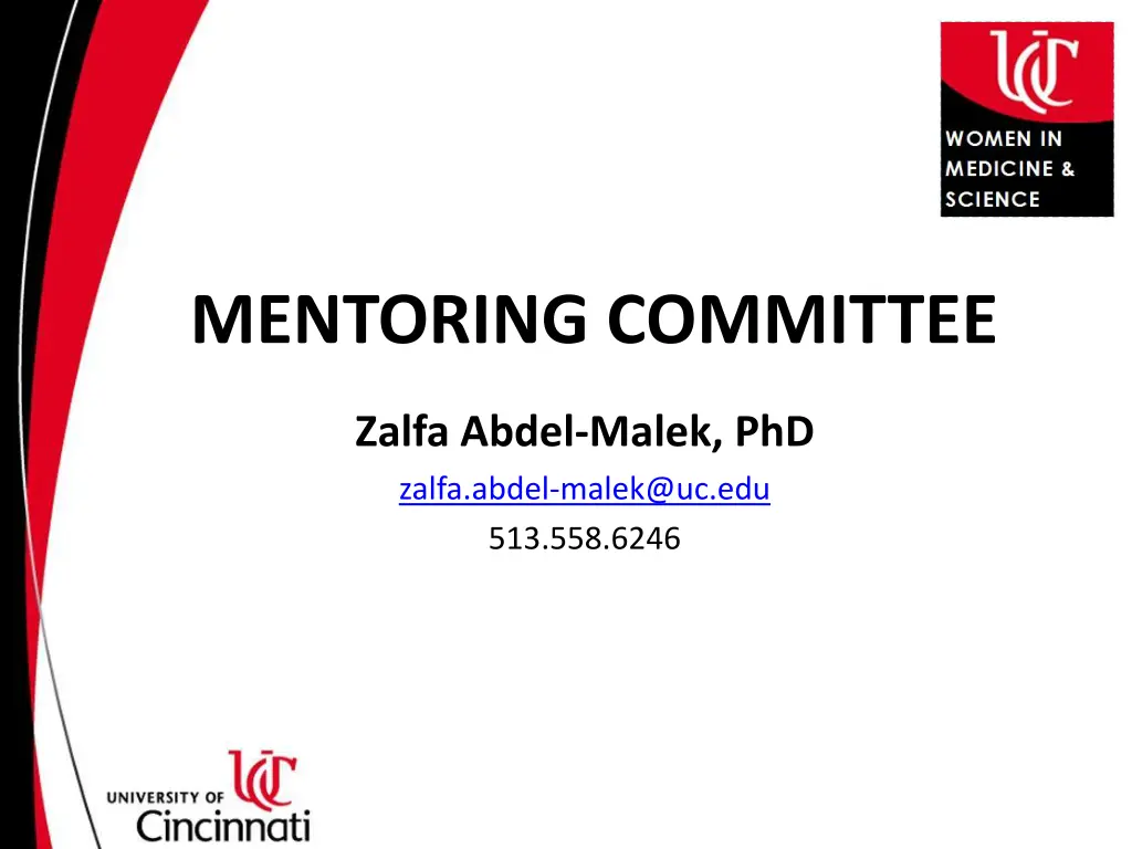 mentoring committee