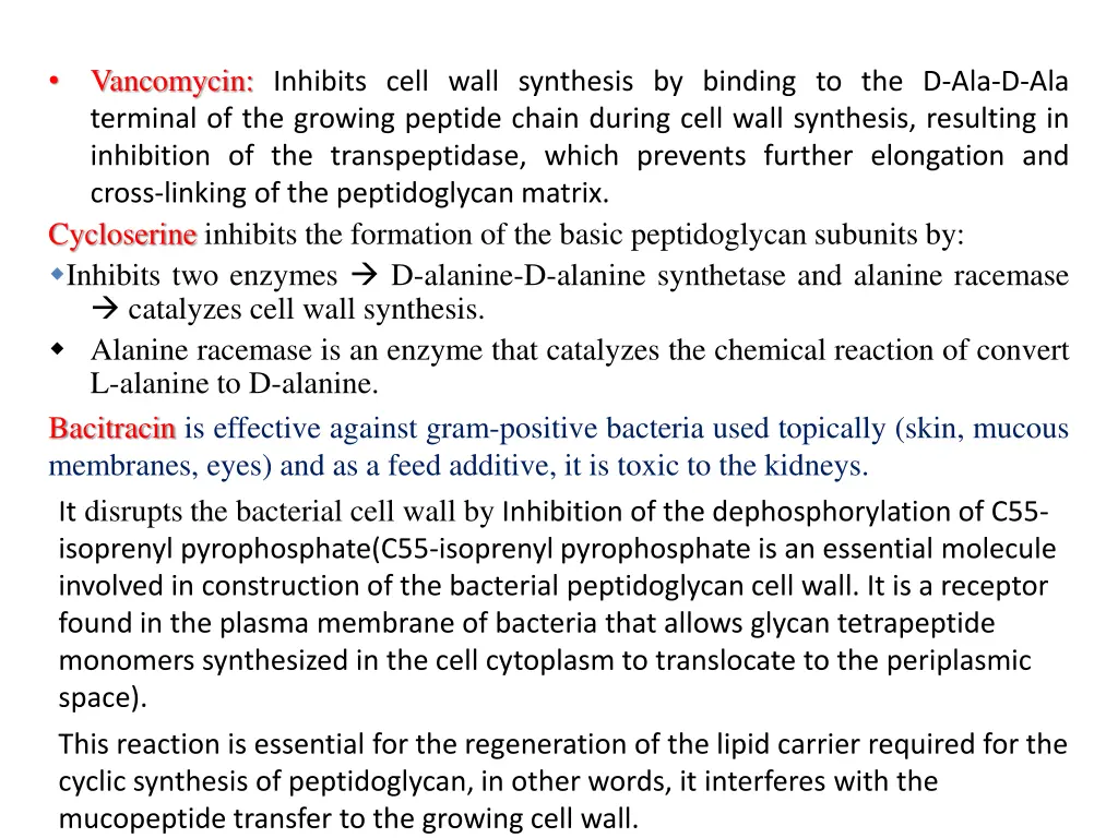 vancomycin inhibits cell wall synthesis
