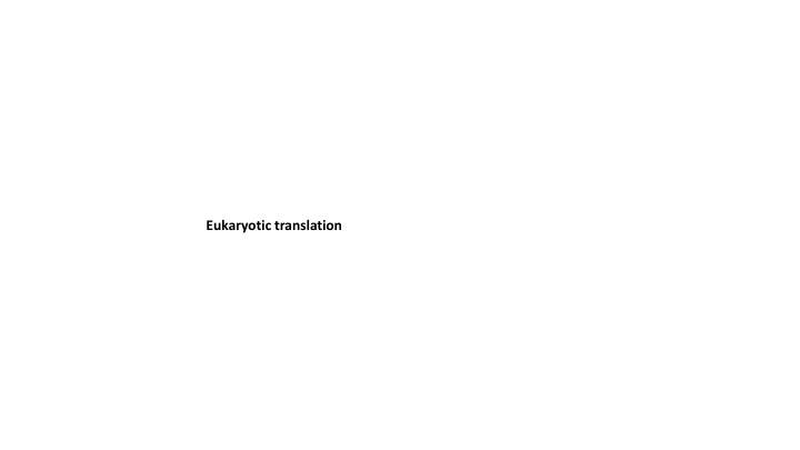 eukaryotic translation