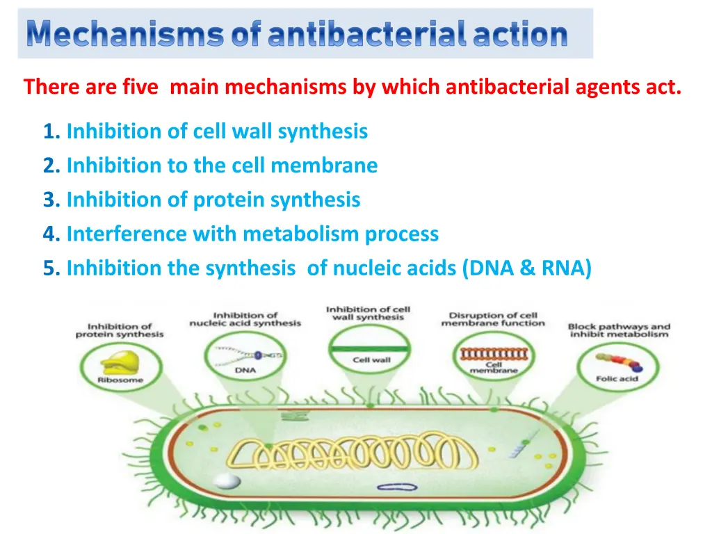 mechanisms of antibacterial action