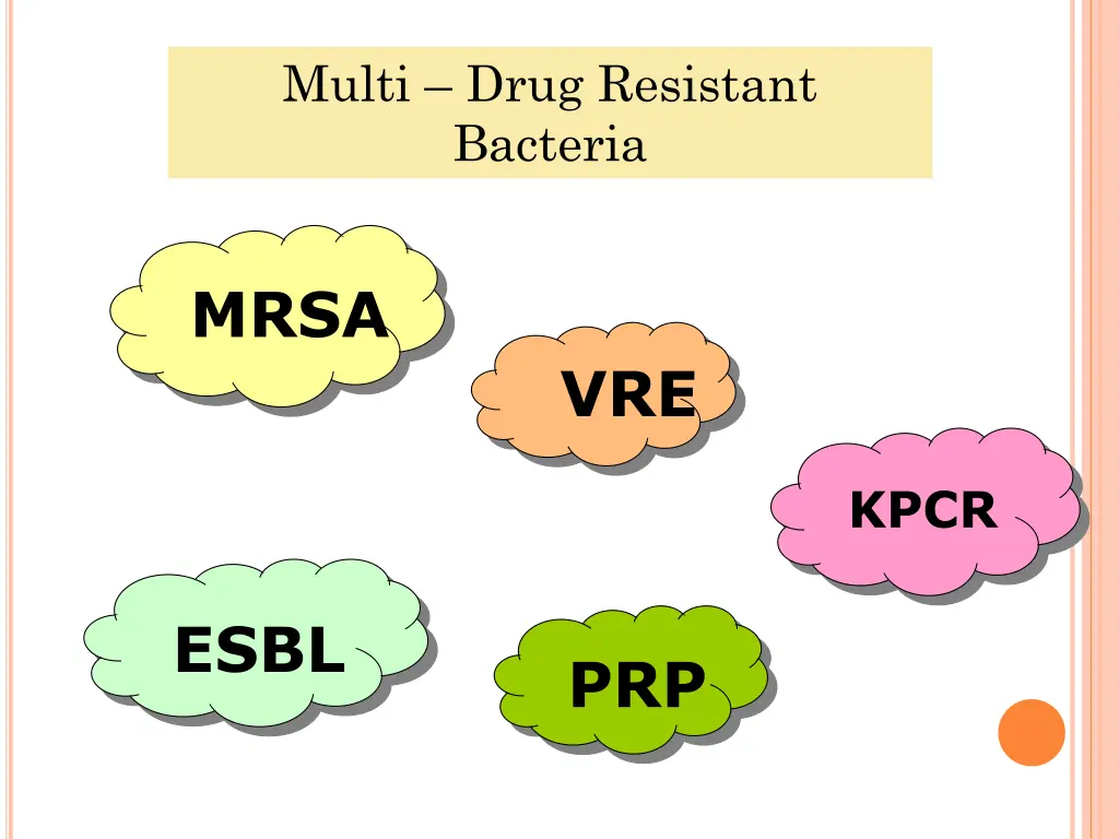 multi drug resistant bacteria
