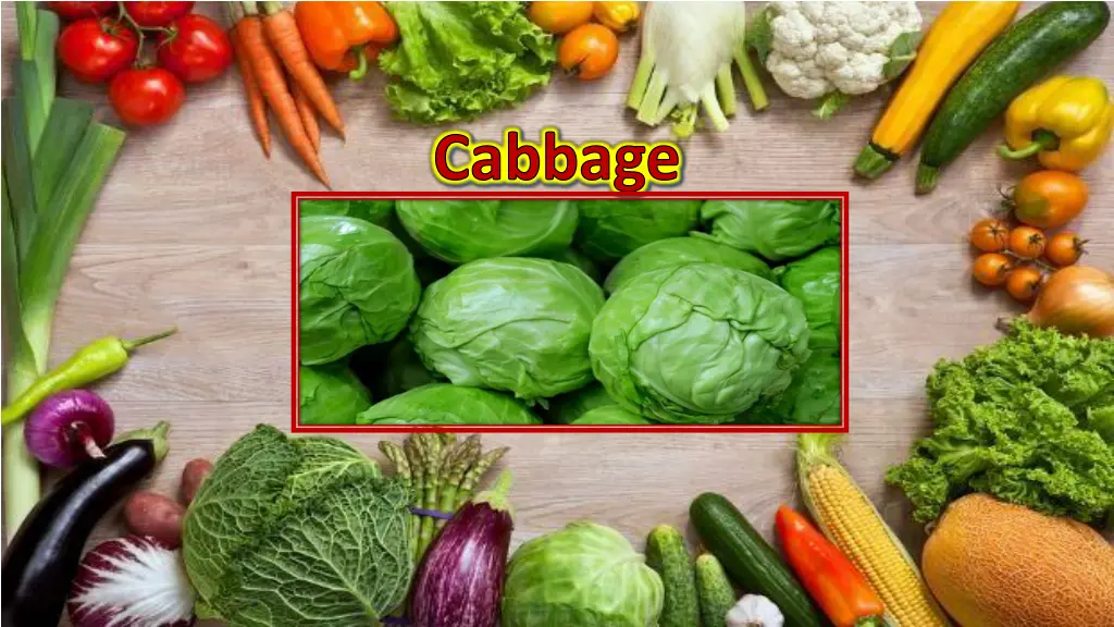 cabbage